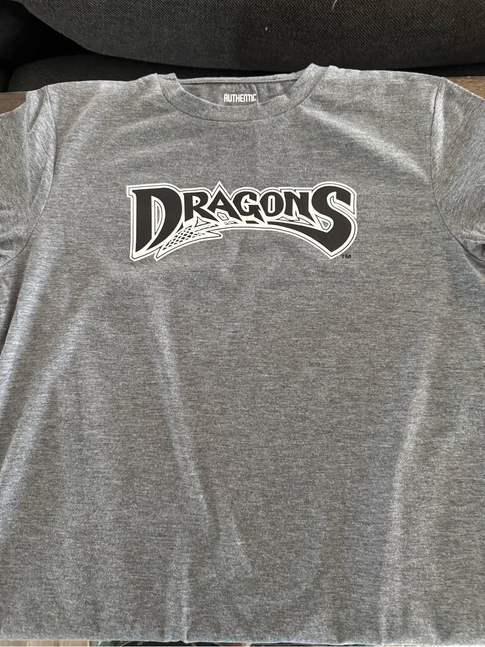 Authentic Kids' Dayton Dragons Graphic Tee - Gray
